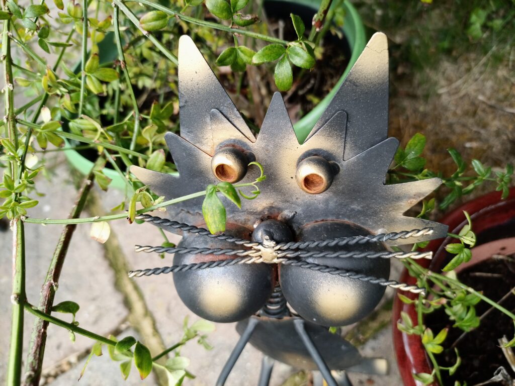 infinix zero 8 photos