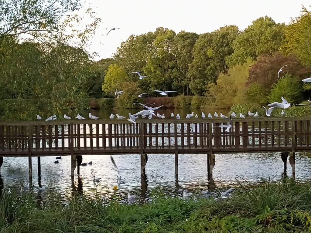 infinix zero 8 photos