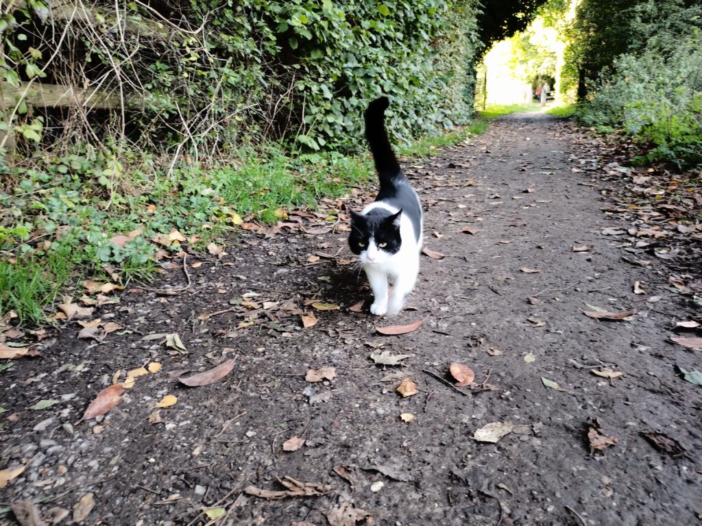 infinix zero 8 photos